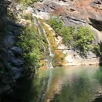 A Nuciola - Prunete