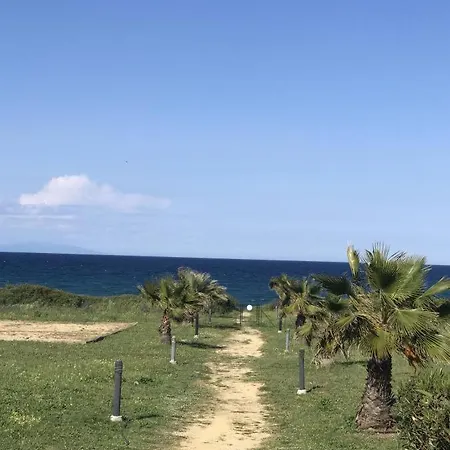 A Nuciola - Prunete * Cervione